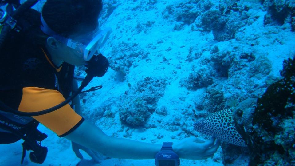 Diving deep Diving deep